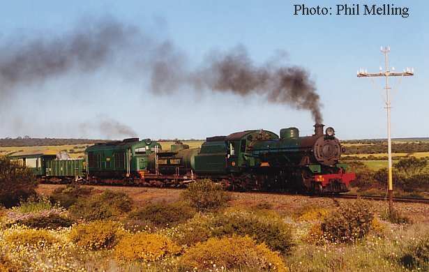 w903xa1401tardun22aug98.jpg